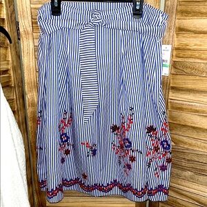 Striped Blue Floral Embroidered Skirt